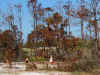 AmandaPattyJohnExploreFtMcRea2.jpg (902642 bytes)