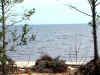 BayBluffsParkoverlookingWater.JPG (2788877 bytes)
