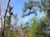 BlueSky.jpg (147600 bytes)