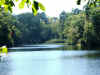 ColeLake5.jpg (930922 bytes)