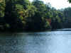 ColeLake6.jpg (962814 bytes)