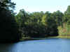 ColeLake7.jpg (841148 bytes)