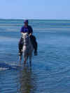 Ice and Christina riding on the beach at Eglin AFB. April 2007