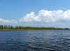 Escambia_River_by_Swamphouse2.jpg (660913 bytes)