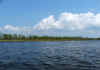 Escambia_River_by_Swamphouse.jpg (740823 bytes)