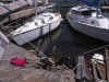 IvanMarina2.jpg (134872 bytes)