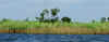 Marsh.jpg (430228 bytes)