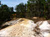 Sandhillsatbaybluffspark.JPG (3100767 bytes)