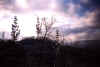 Snowy Smoky Mountain View.JPG (82373 bytes)