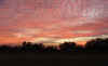 SunsetColeLake2.jpg (357641 bytes)