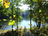 fall_colors_cole_lake.jpg (2534970 bytes)