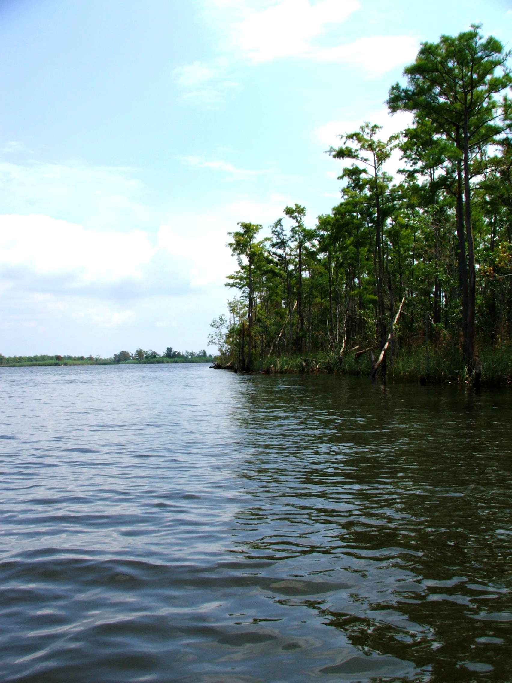 Escambia River