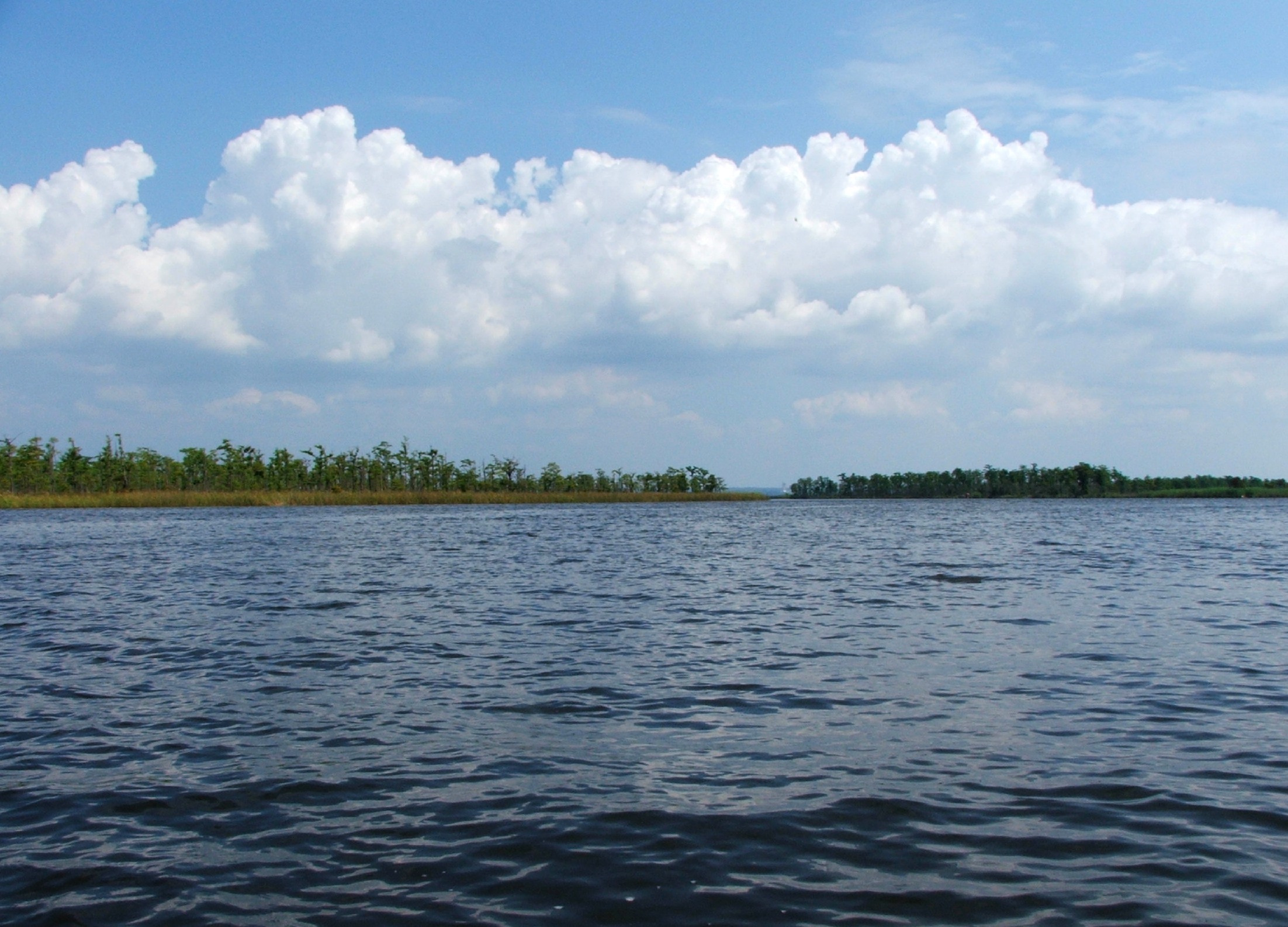 Northern Escambia - 2u9br4o