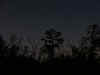 nightfall_swamphouse2.jpg (843135 bytes)
