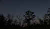 nightfall_swamphouse.jpg (639022 bytes)