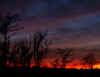 redsunsetswamphouse1.jpg (357248 bytes)