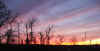 redsunsetswamphouse4.jpg (322158 bytes)